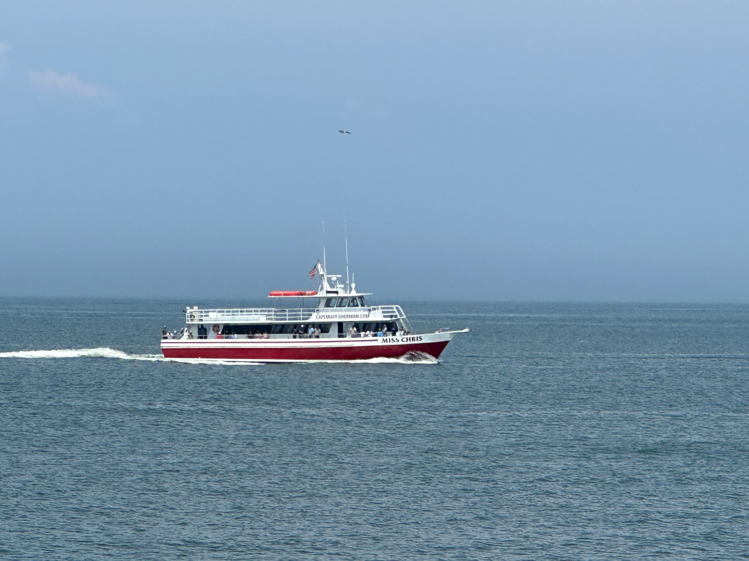 vesseland