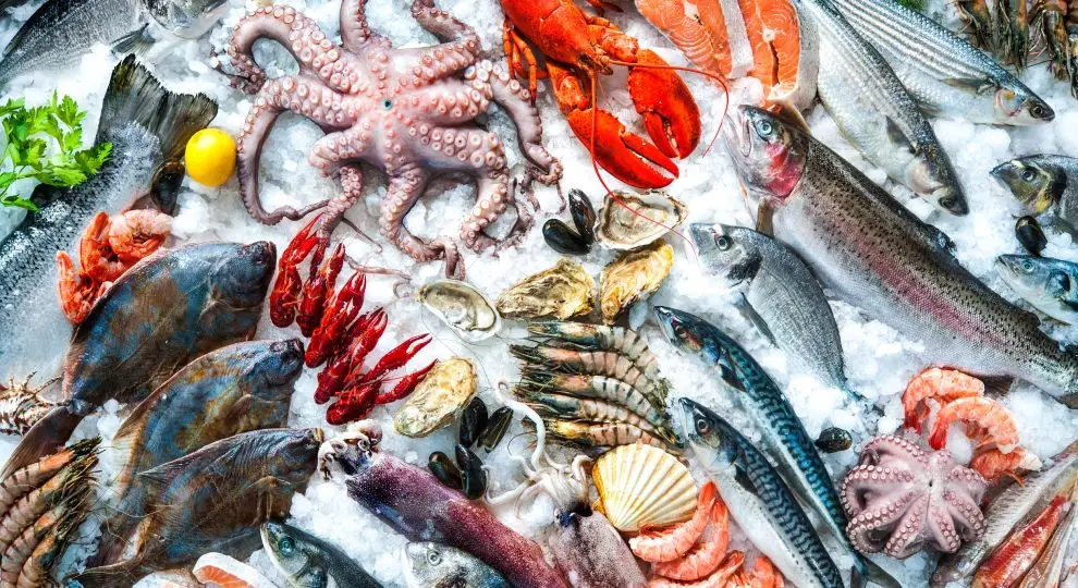 Sustainable Seafood