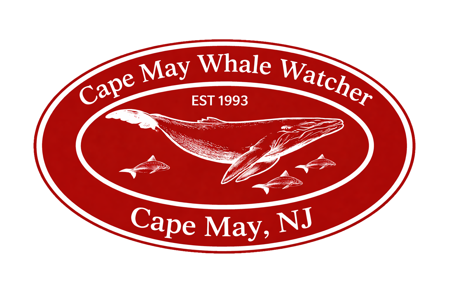 Cape May Whale Watcher