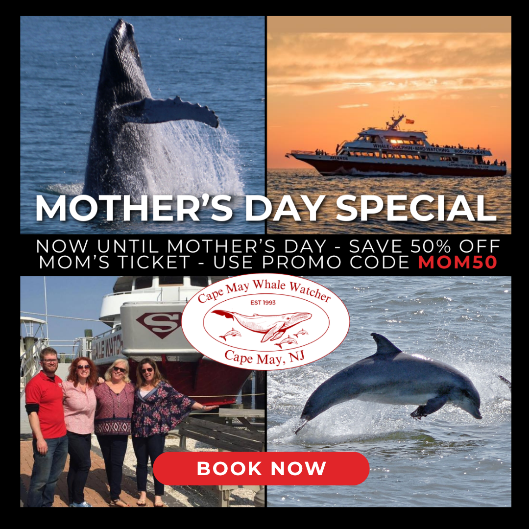 Mother's Day Cape May Whale 2026